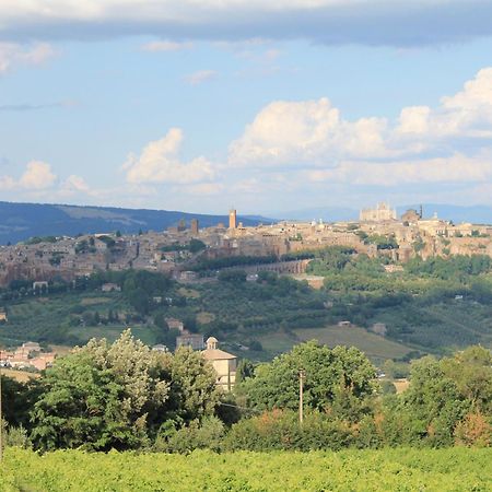 Agriturismo Borgo Pirolino Орвието Экстерьер фото