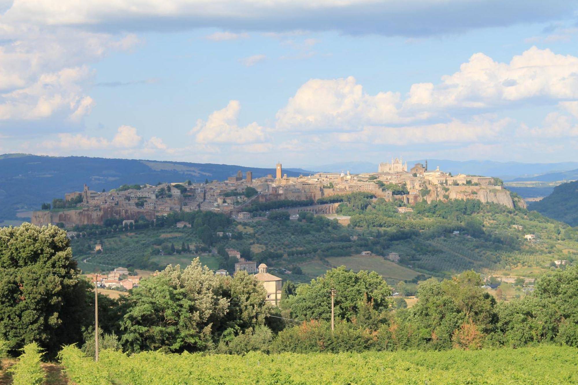 Agriturismo Borgo Pirolino Орвието Экстерьер фото